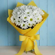 Букет цветов из:  Хризантемы в Талицы Пушкинского района