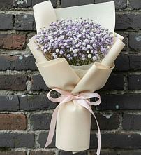 Букет цветов из:  Гипсофила в Талицы Пушкинского района