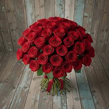 Букет 55 Красных роз Фридом #REPLACE_PRED# Талицы Пушкинского района