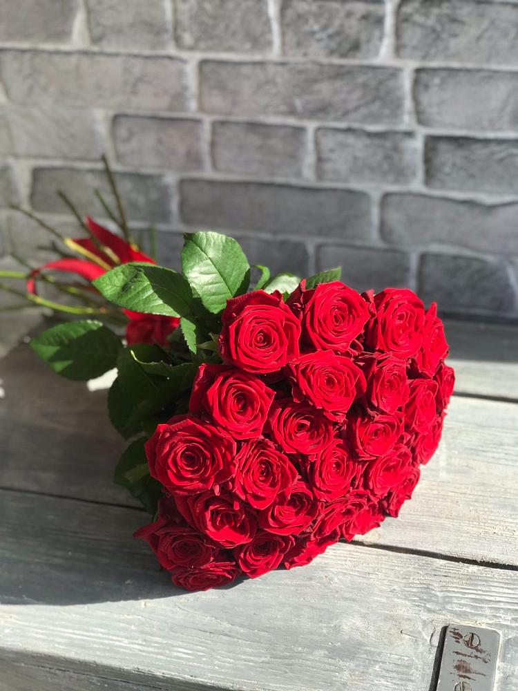 Букет Красные розы Фридом в Талицы Пушкинского района