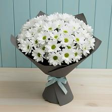Букет цветов из:  Хризантемы в Талицы Пушкинского района
