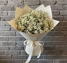 Букет цветов из:  Ромашки #REPLACE_PRED# Талицы Пушкинского района