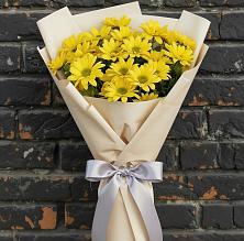 Букет цветов из:  Хризантемы в Талицы Пушкинского района