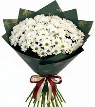 Букет цветов из:  Хризантемы в Талицы Пушкинского района