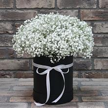 Цветочная композиция из Гипсофила в шляпной коробке в Талицы Пушкинского района