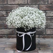 Цветочная композиция из Гипсофила в шляпной коробке в Талицы Пушкинского района