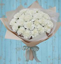 Букет цветов из:  Гвоздики в Талицы Пушкинского района