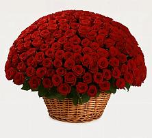 Премиум букет из: Розы в Талицы Пушкинского района