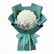 Букет цветов из:  Гортензия в Талицы Пушкинского района
